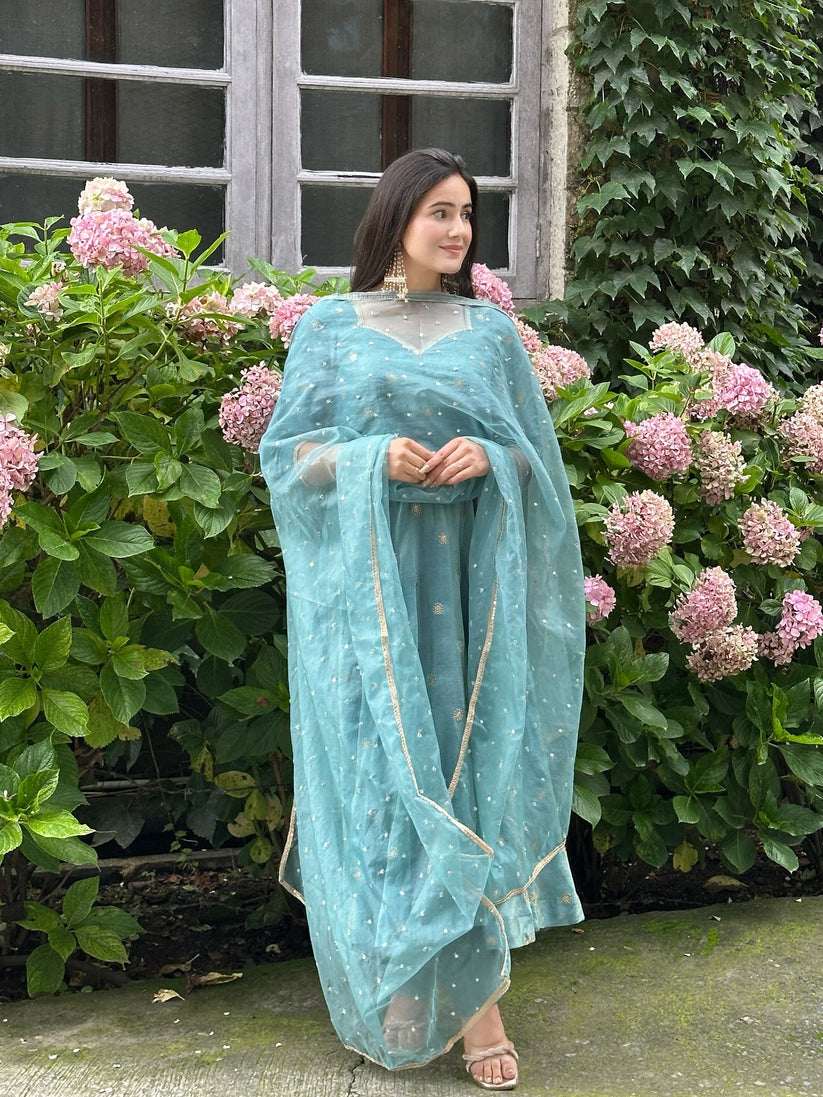 Parthi Sky Blue Anarkali Suit with Net Dupatta